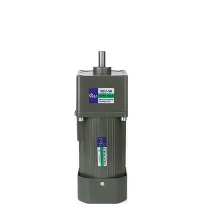 220V AC zupčanik motor